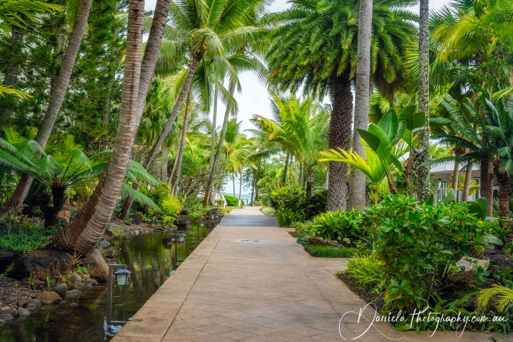 A path in a the tropical garden at the beach in Noumea, New Caledonia